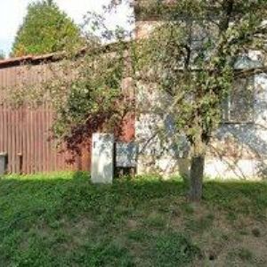 obrazek: avatar BAČÍKOVÁ RADKA