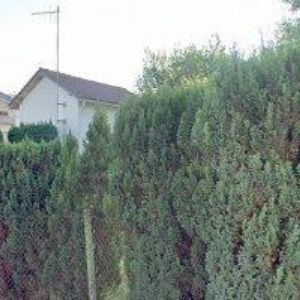 obrazek: avatar ZŠ Turnov-Mašov