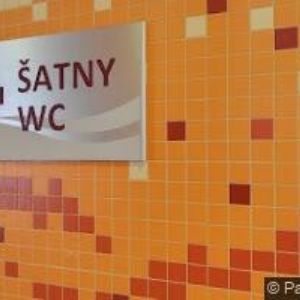 obrazek: avatar KLIMKOVÁ PETRA