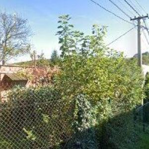 obrazek: avatar MLČKOVÁ JINDŘIŠKA Mgr. et Mgr.