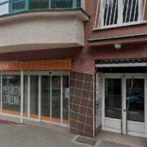 obrazek: avatar ŠENOVSKÁ DAGMAR