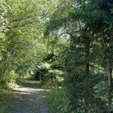 BAREVNÁ ŠKOLA JAZYKŮ, s.r.o.