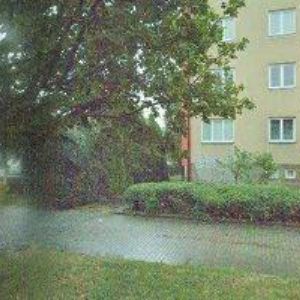 obrazek: avatar BRÄUER MICHAL