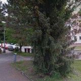 ZŠ PRAKTICKÁ A ZŠ SPECIÁLNÍ Semily