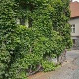 MASARYKOVA ZŠ Dolní Roveň