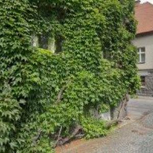 obrazek: avatar MASARYKOVA ZŠ Dolní Roveň