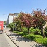 ZÁKLADNÍ ŠKOLA A STŘEDNÍ ŠKOLA BOHEMIA