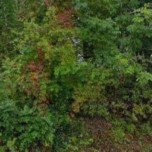 obrazek: avatar AZTV s.r.o.