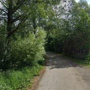 obrazek: avatar JEBAVÝ MIROSLAV