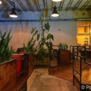 obrazek: avatar YES! JAZYKOVÁ ŠKOLA