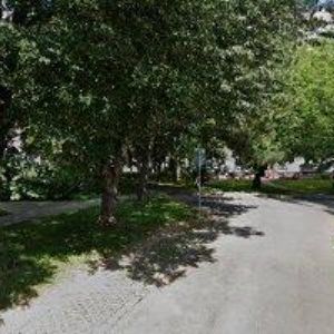 obrazek: avatar MŠ LENTILKA Ústí nad Orlicí