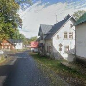 obrazek: avatar RENNEROVÁ ILONA