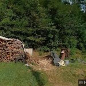 obrazek: avatar KUPCOVÁ DANIELA