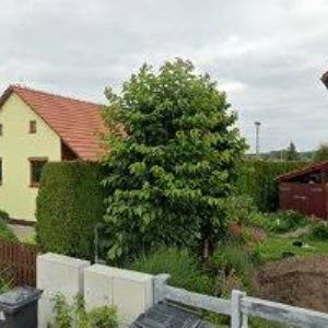 obrazek: avatar STEVEN MARK KAY