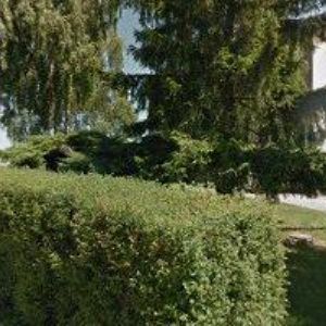 obrazek: avatar ODBORNÉ UČILIŠTĚ Chroustovice