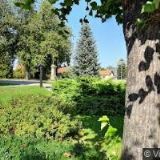 ZŠ Rohovládova Bělá