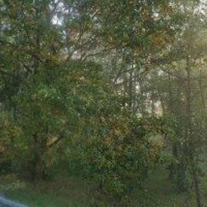 obrazek: avatar KATRENČÍK STANISLAV