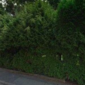 obrazek: avatar DIVIŠOVÁ ZUZANA