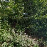 KONVALINKA ROMAN Ing.