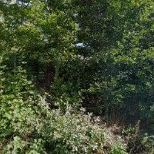 obrazek: avatar KONVALINKA ROMAN Ing.