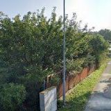 HLOUBKOVÉ ČIŠTĚNÍ LÍPA