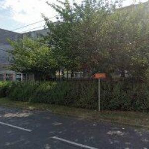 obrazek: avatar BUCHTOVÁ MARIE