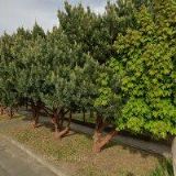 PEŠEK JIŘÍ-INSTALATÉR