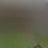 JAROSLAV MACHŮ-ELTOP