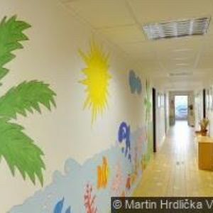 obrazek: avatar MŠ PASTELKA Chrudim