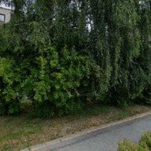 obrazek: avatar MŠ Králíky