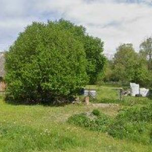 obrazek: avatar MŠ Radiměř