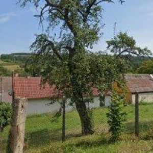 obrazek: avatar GREBÍKOVÁ PAVLA