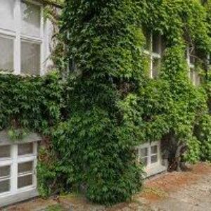 obrazek: avatar MŠ Dolní Roveň