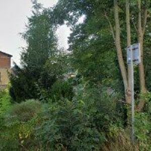 obrazek: avatar KOLOMÁ IVANKA MUDr.-EPILA