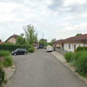 obrazek: avatar SUNNY LANGUAGE SCHOOL