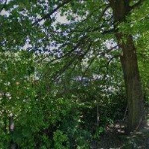 obrazek: avatar ZŠ Morkovice-Slížany