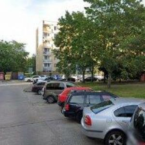 obrazek: avatar ČIBEROVÁ SVĚTLANA