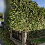 PŠENICOVÁ KRISTÝNA