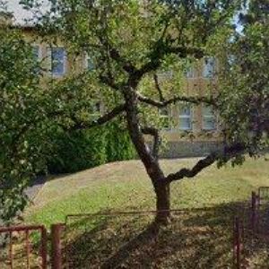 obrazek: avatar ZŠ Halenkov