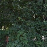 ZŠ Valašské Meziříčí