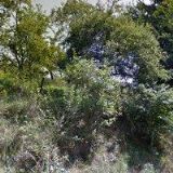 CÍCHOVÁ JANA-KOSMETICKÝ SALON