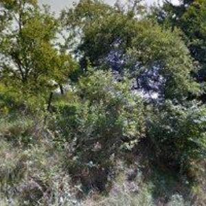 obrazek: avatar CÍCHOVÁ JANA-KOSMETICKÝ SALON