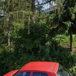 obrazek: avatar MŠ ČESKÁ Zlín