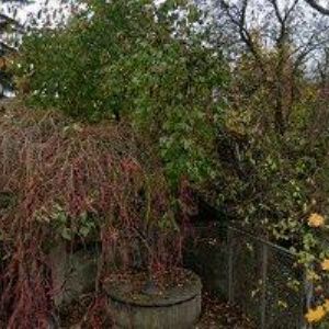 obrazek: avatar MŠ Fryšták