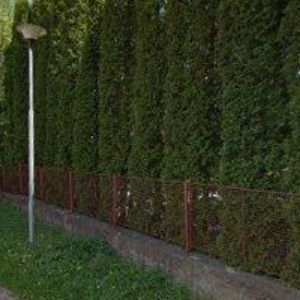 obrazek: avatar MŠ Vsetín-Rokytnice