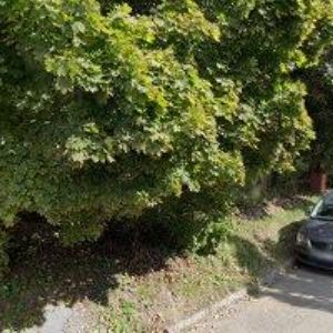 obrazek: avatar MŠ SVATOPLUKA ČECHA Uherský Brod