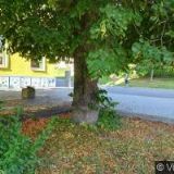 ZŠ A MŠ Litenčice