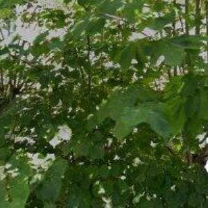 obrazek: avatar RESO-LIBEREC, s.r.o.