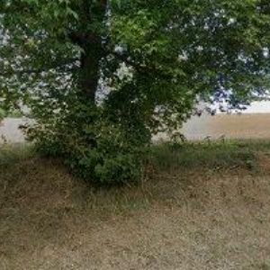 obrazek: avatar SOUKROMÉ GYMNÁZIUM, SOŠ A JAZYKOVÁ ŠKOLA S PRÁVEM STÁTNÍ JAZYKOVÉ ZKOUŠKY, s.r.o.