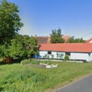 obrazek: avatar VYSOKÁ IVANA